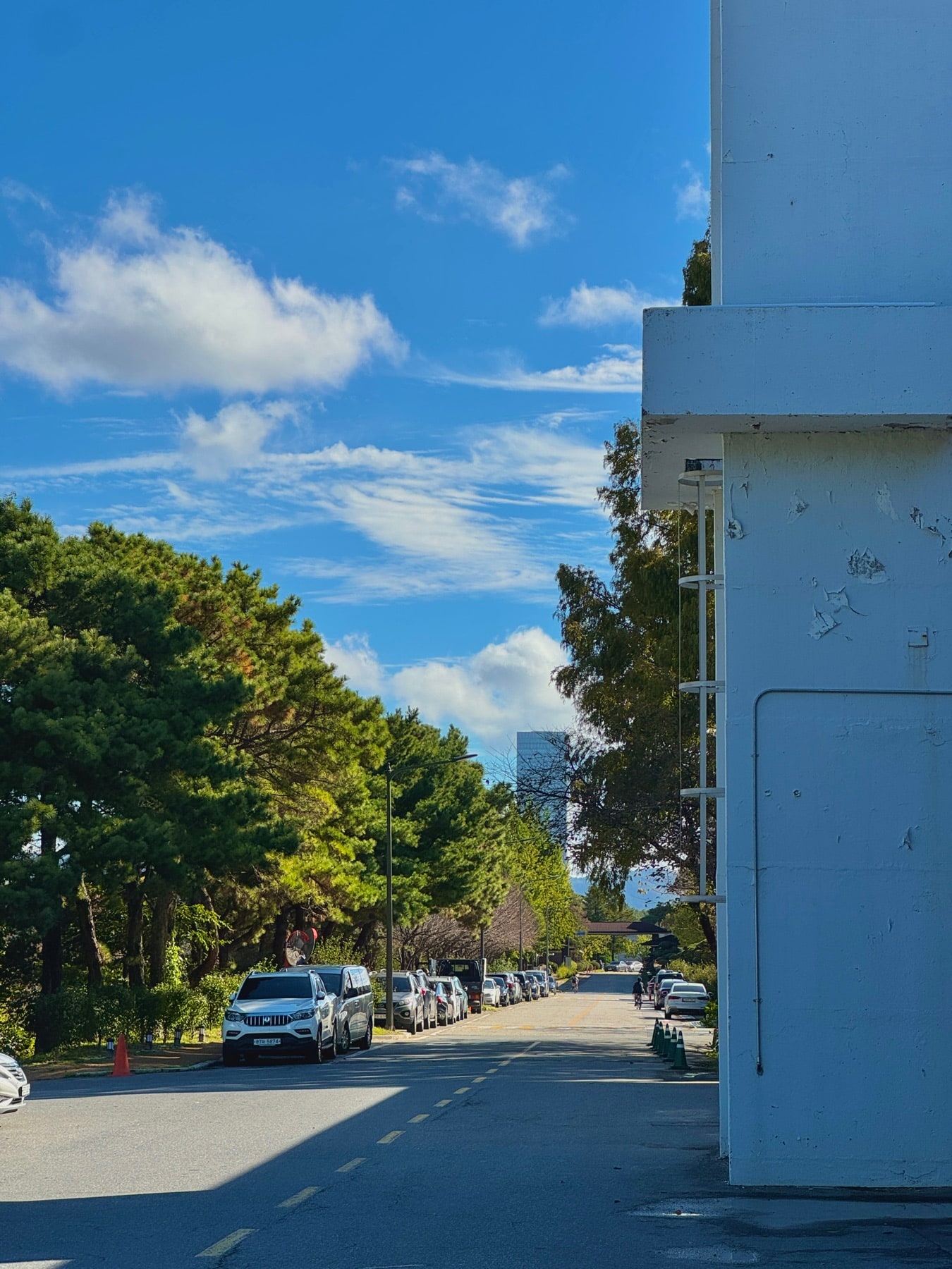 A street on campus under blue sky